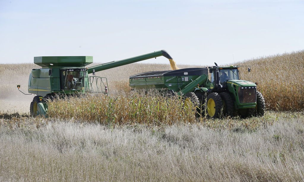 Corn prices fall, undoing small price bump News, Sports, Jobs